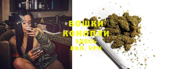 дживик Заводоуковск