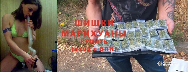 дживик Заводоуковск